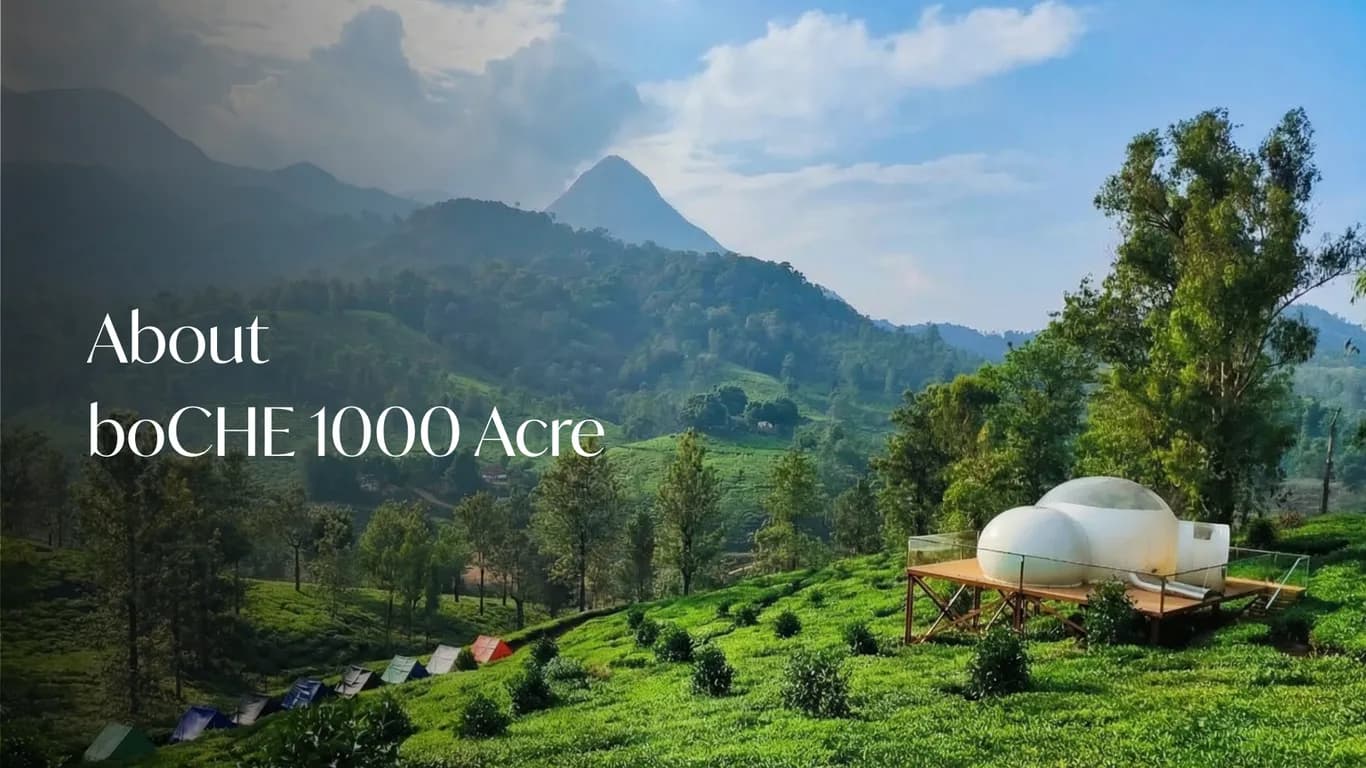 boCHE 1000 Acre