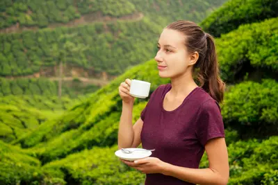The Art of Tea Tasting: A Journey Through Our Plantations