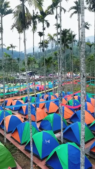 Adventure Campsite & Tents in Wayanad A massive campsite with rows of vibrant tents set up for a biker gathering at boCHE 1000 Acre, a top choice for an adventure tent stay in Wayanad.